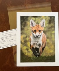 Image 2 of Fox, "The Curious Visitor" PRINT 