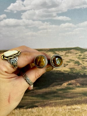 Image of Tiger’s Eye Bolts - Medium