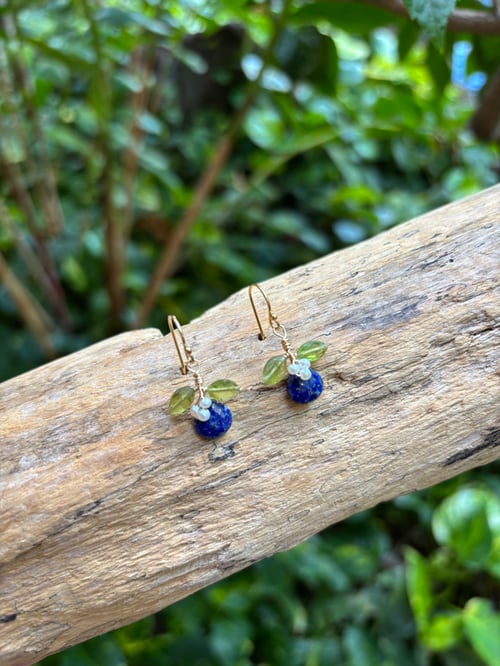 Image of lapis mini fruit