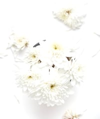 Image 1 of CHAMOMILE WHIPPED BODY BUTTER