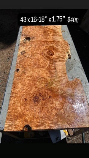 Burl maple 1