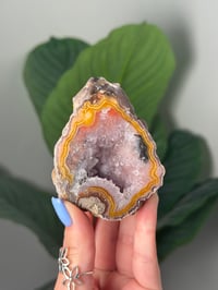 Image 1 of YELLOW LAGUNA AGATE WITH DRUZY CENTER