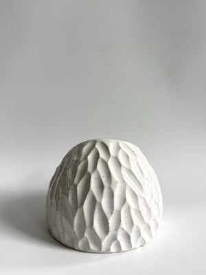Image of Salt pig 5