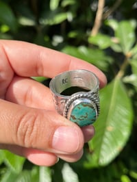 Image 5 of Sterling & Tyrone Turquoise Sz 14.5