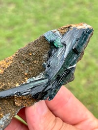 Image 12 of Vivianite & Ludlamite on Matrix Specimen |Brazil #2860