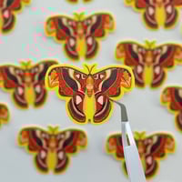 Image 1 of Atlas Moth Sticker