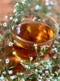 Image 3 of Peppermint+Chamomile Tea