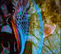 Image 3 of Jig Nymphe schwarz Tungstenkopf