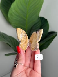 Image 6 of CHOOSE YOUR OWN UNICORN JASPER BUTTERFLIES