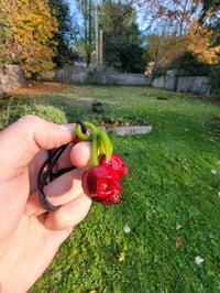 Image 9 of Cadmium Red Skull Cherries