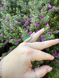 Image 3 of The Big Bud Ring (8.5)