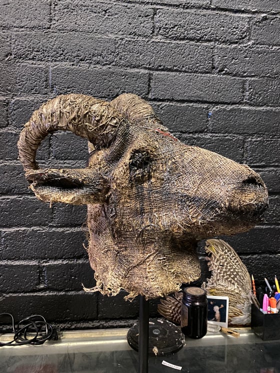 Image of THE BUTCHER - One of a kind goat mask