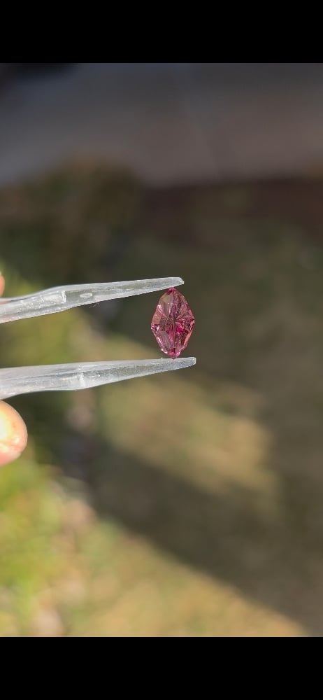 Image of Dragonfly Rose Garnet