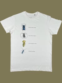 Image 1 of T-shirt INSECTA