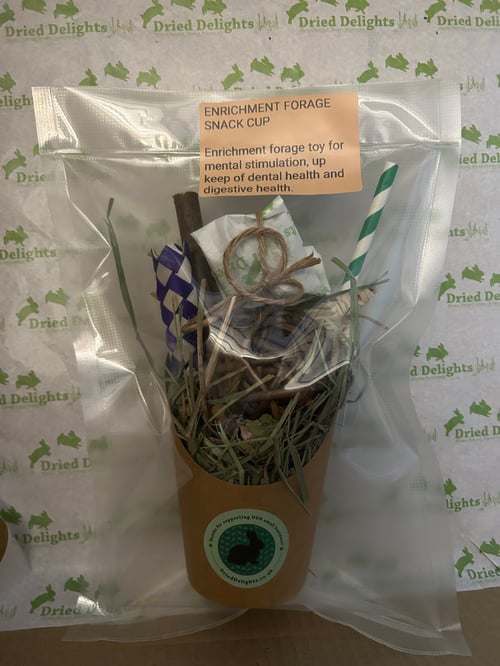 Image of Snack enrichment and forage Cup