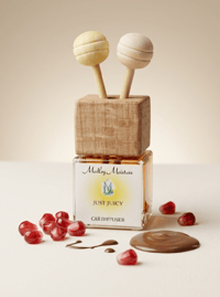 Image 2 of Medley Car Diffusers - FREE SHIPPING