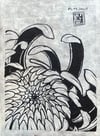 Chrysanthemum Sketch 