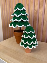 Image 5 of CHRISTMAS TREES MINI