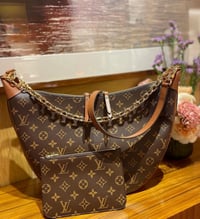 Image 1 of LV Moon Large Bag