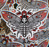 Hawkmoth Omen | Vinyl Sticker