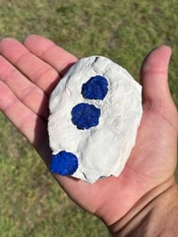 Image 15 of Azurite Suns On Matrix Specimen | NT Australia #2973
