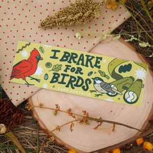 “I brake for birds” Bumper Sticker