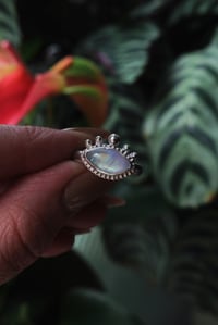 Image 1 of Eye of Protection