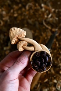 Image 3 of Mushrooms Coffee Scoop Special