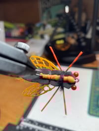 Image 3 of Carpy Cicada 