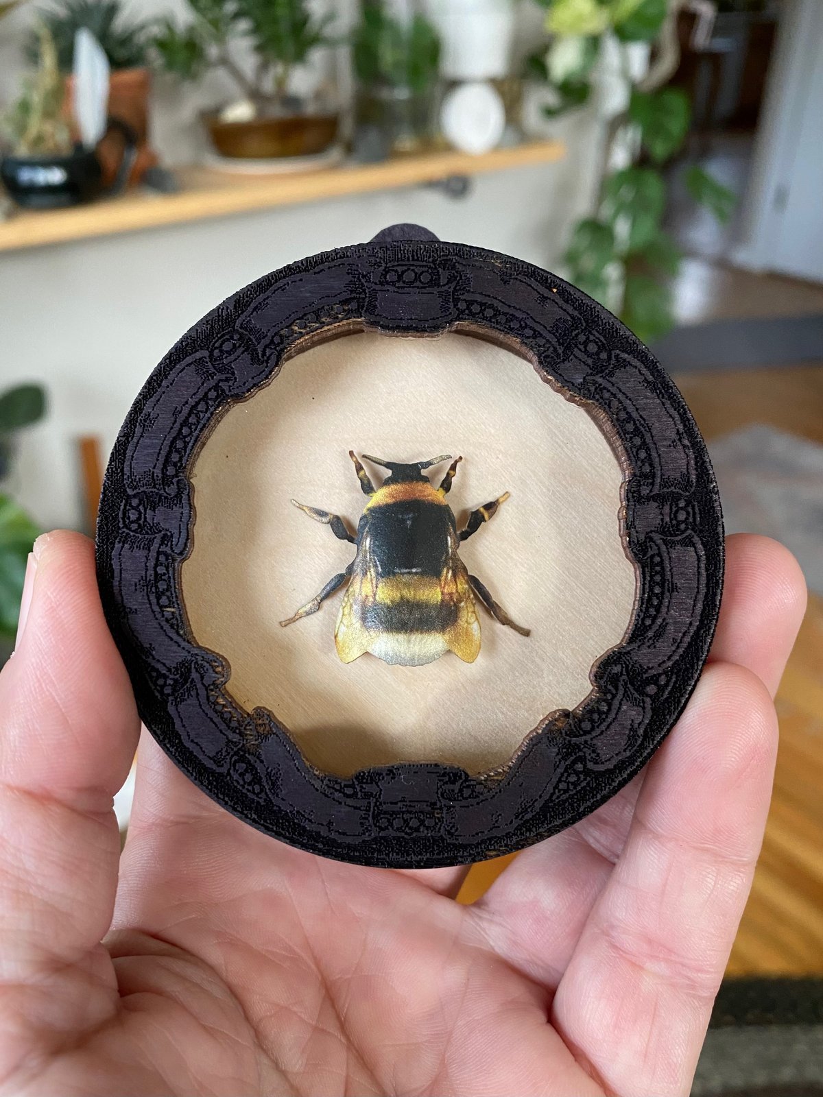 mini-bee-shadowbox-a.jpg?auto=