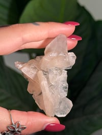 Image 6 of BOWTIE STILBITE X DIAMOND APOPHYLITE -INDIA- J