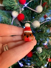 Image 2 of Mini Robins