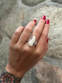 Image 1 of Scrap band white buffalo 2