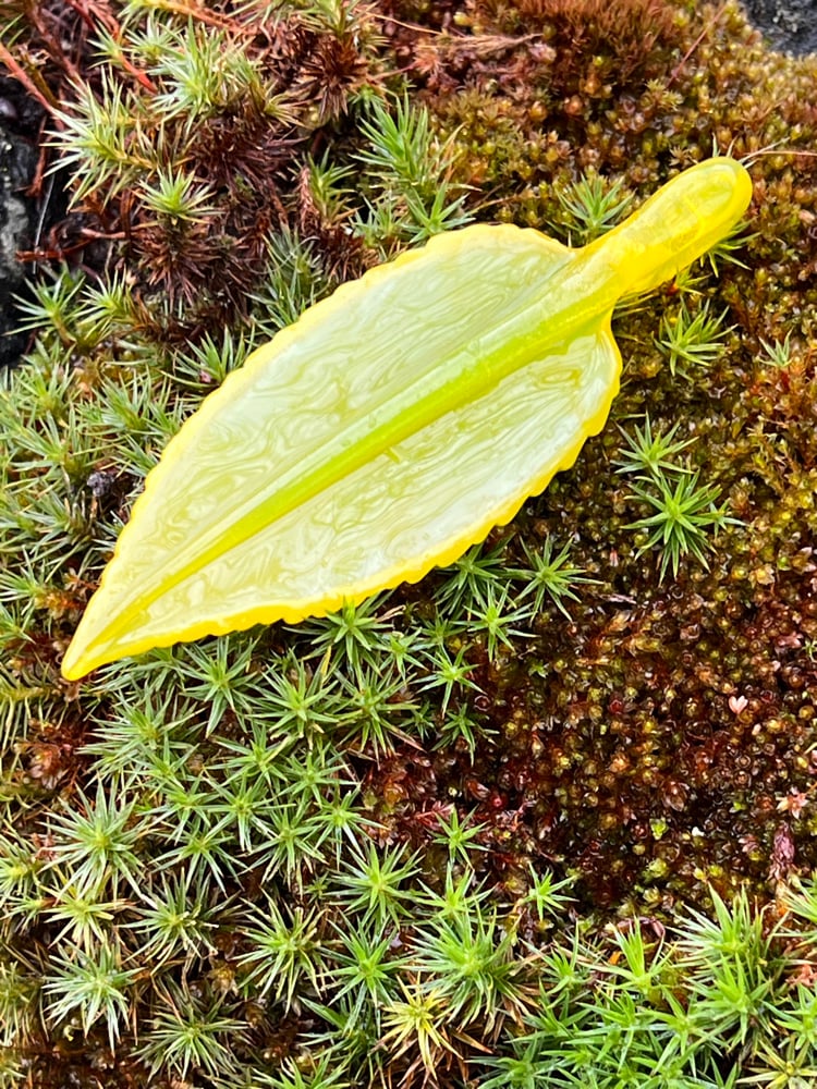 Image of Lemon Lime Leaf Pendant