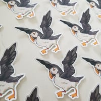 Puffin