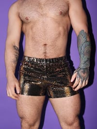 Image 2 of THE GOLDEN TICKET BAREBACK SHORTS