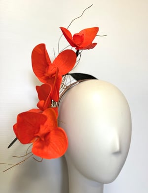 Image of Orange orchids