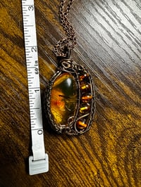 Image 5 of Amber with Beads