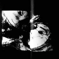 Image 19 of Le Sang et la Rose #1