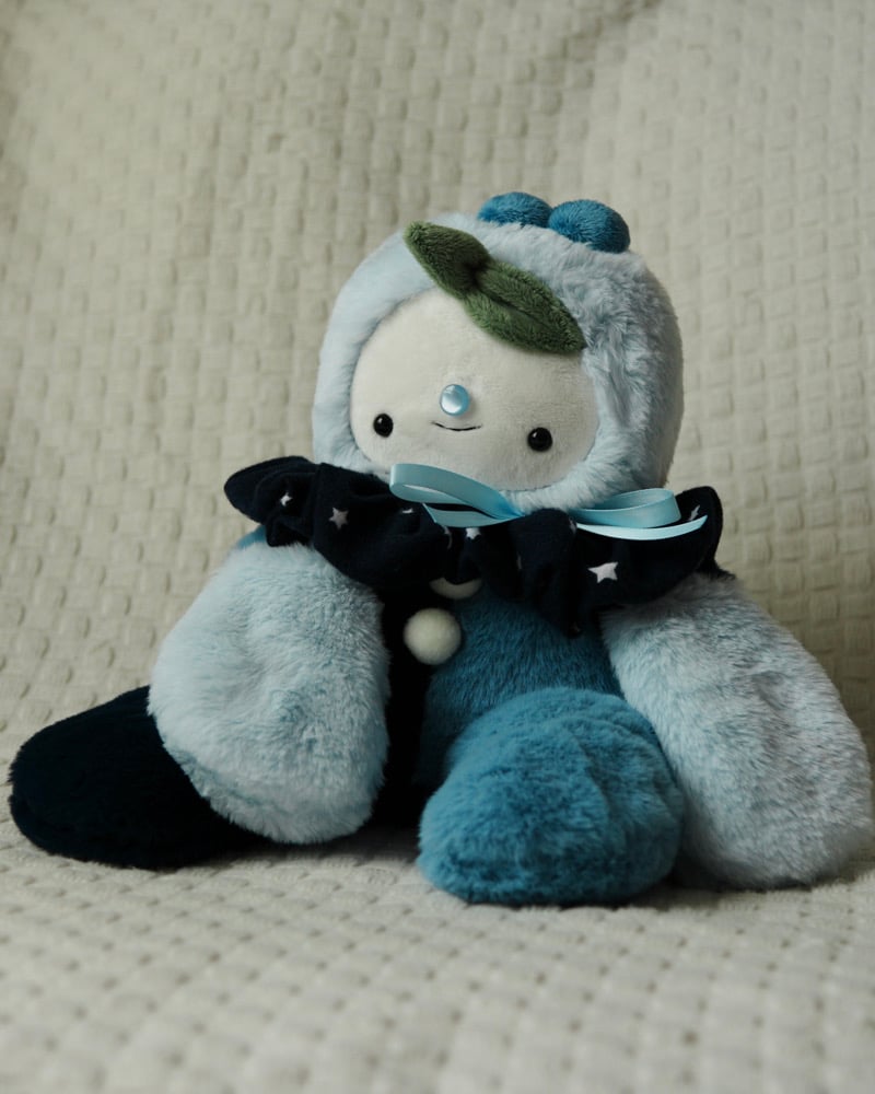 Image of FIRST TIME BUYERS ONLY Blueberry Boy MEDIUM