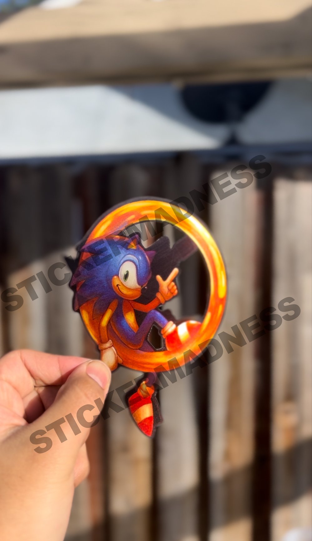 Sonic/Shadow sticker