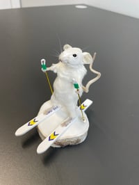 Image 3 of Squeaker Skier – Taxidermy Mouse on Skis