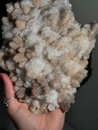 Image 5 of XL SUGARY DOG TOOTH CALCITE -MEXICO- A