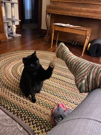 Image 1 of Lucky Sock -Made to order