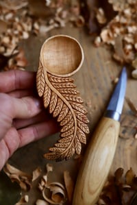 Image 3 of Fern Leaf  Scoop 