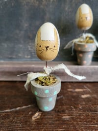 bunny plant pot 4