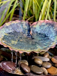 Image 1 of 🌱☘️Lily Leaf☘️🌱