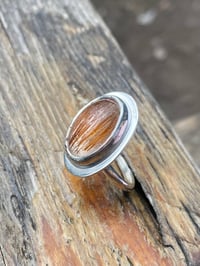 Image 4 of You’re So Golden 