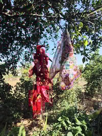 Image 5 of Pañuelo HUERTA rosa