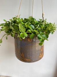 Image 1 of Hanging planter with leaf resist detail